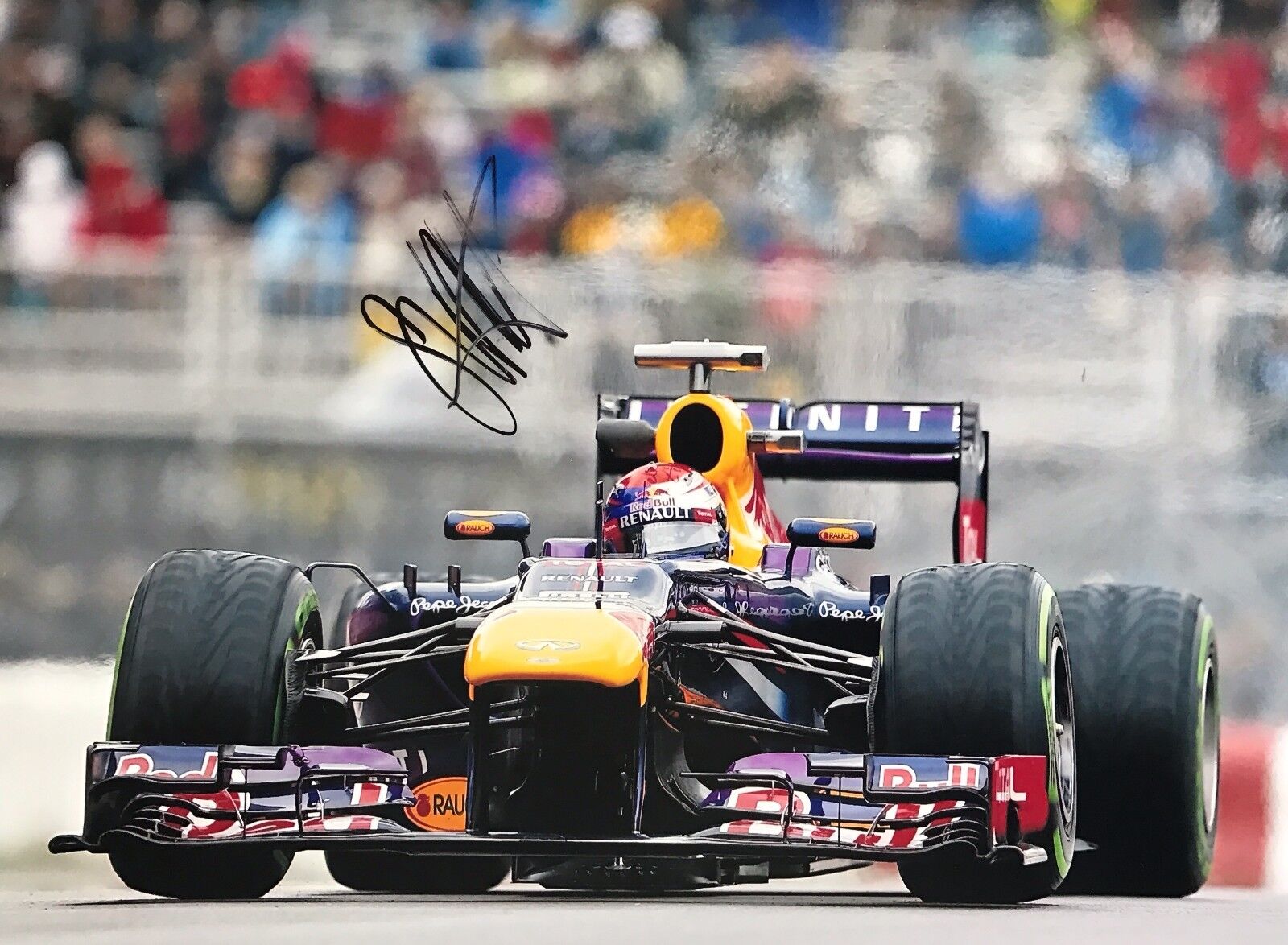 Sebastian Vettel Main Signé Rouge Bull de Course 16x12 Photo Poster painting F1