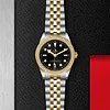 Tudor Black Bay 39 S&G