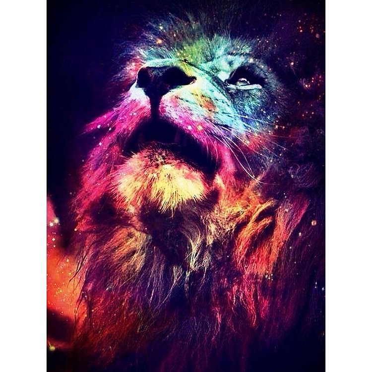 Novelty Lion  Full Square Diamond Painting 50*40CM