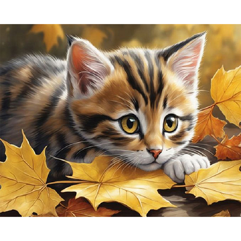 Cat-Paint by Numbers-50x40cm