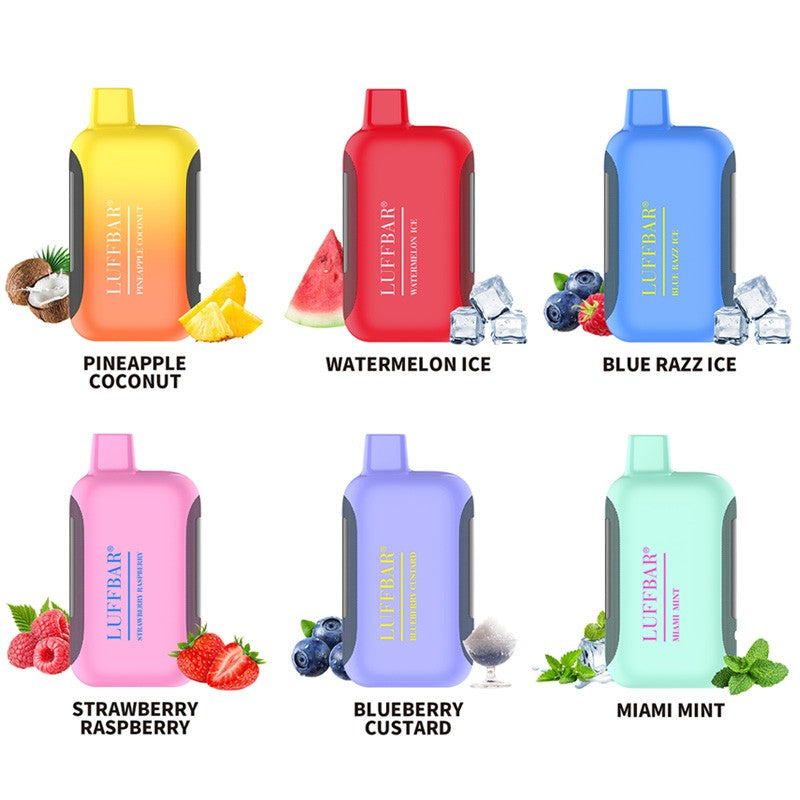 LUFFBAR Dually 20000 Puffs Disposable Vape Wholesale LUFFBAR CTYVape
