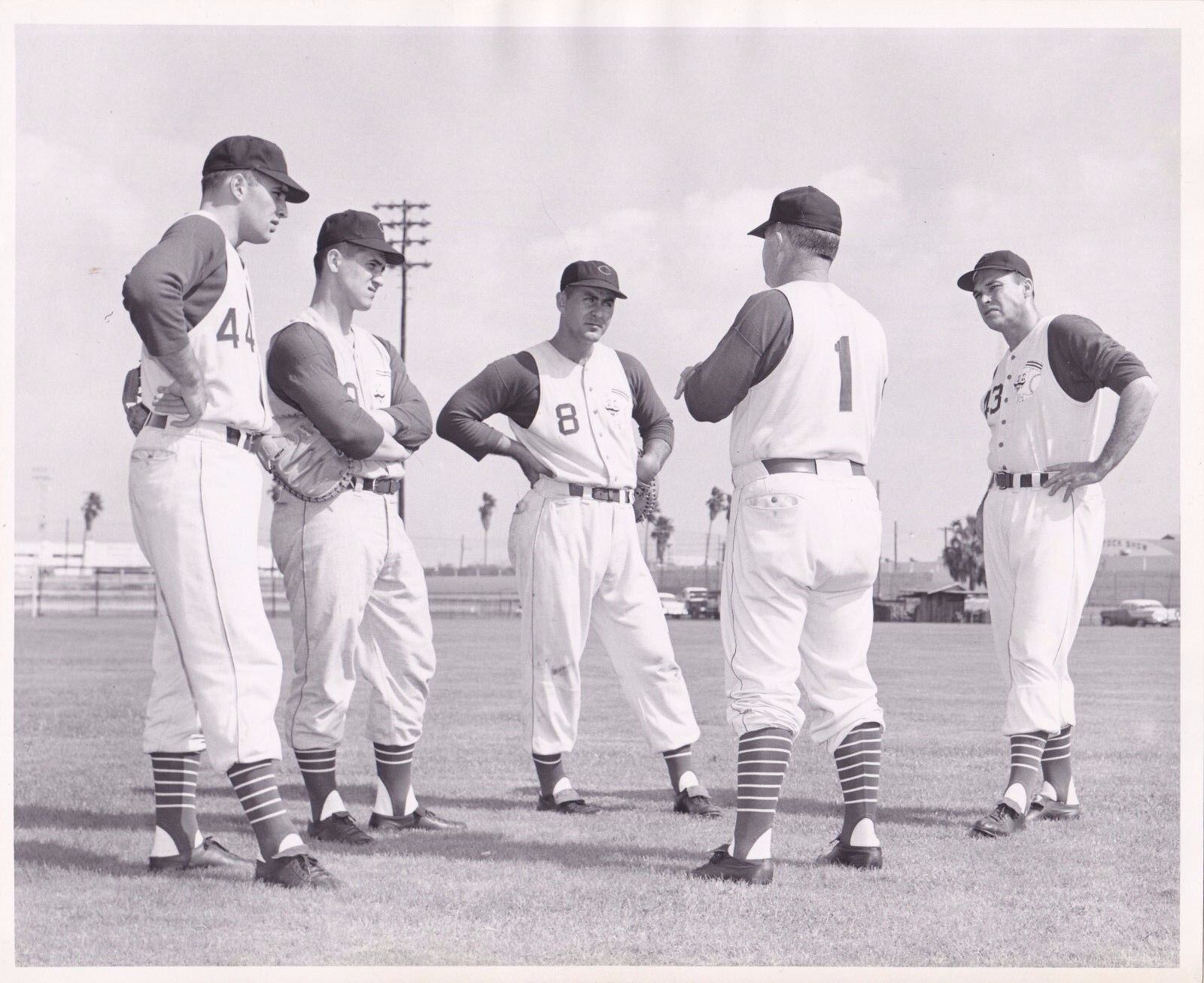 1950's Cleveland Indians Birdie Tebbetts Original 8 x 10