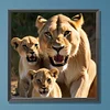 Diamond Painting-DIY Full Round Drill Lion Family