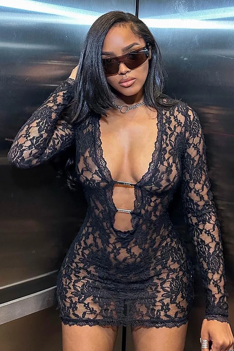 Floral Lace Plunge Neck Long Sleeve See Through Fitted Mini Dresses-Black