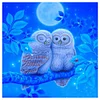 Diamond Painting -DIY Round Drill Owl