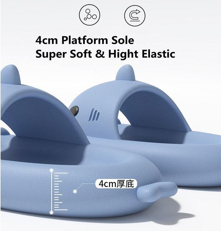 Premium Shark Slides