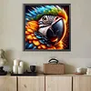 Diamond Painting -DIY Round Drill Parrot(40x40cm)
