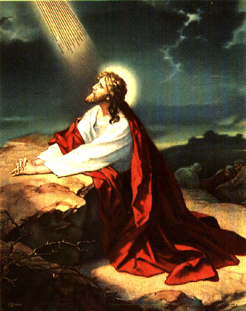 JESUS CHRIST PRAYING IN THE GARDEN OF GETHSEMANE 8.5X11 Photo Poster painting PICTURE REPRINT