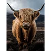 Diamond Painting-DIY Full Round Drill Highland Calf