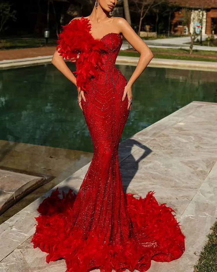 Elegant Embroidered Feather Gown