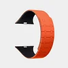 Two-Color Magnetic Silicone Band For Apple Watch