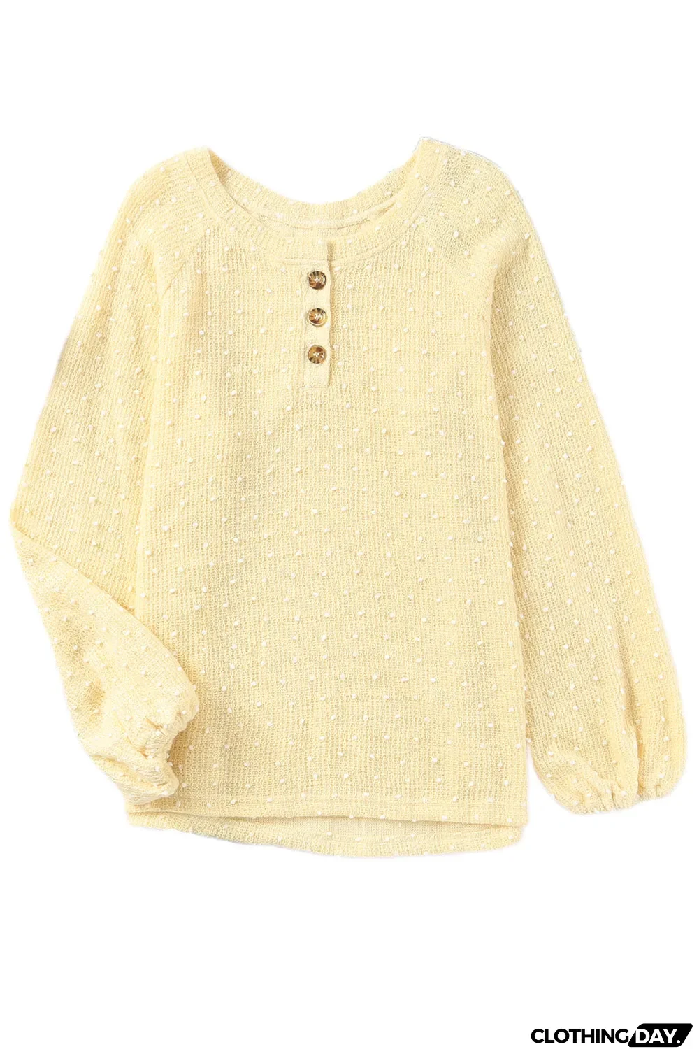 Swiss Dot Raglan Sleeves Knit Top
