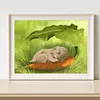 uk.everydayedeals (Limited Stock)Diamond Painting - Full Square - Sleeping Rabbit(40*50cm)