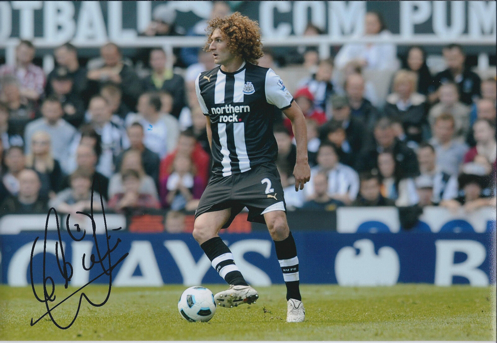 Fabricio COLOCCINI SIGNED COA Autograph 12x8 Photo Poster painting AFTAL Newcastle United