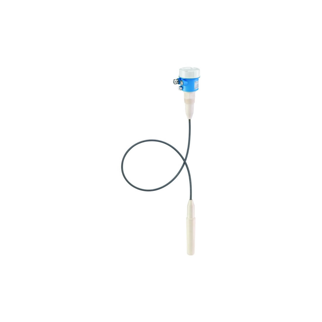 e+h,E+H Minicap FTC262 Point Level Sensor
