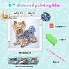 5D bricolage partiel forme sp&eacute;ciale foret diamant peinture kit d&eacute;cor chien30x30cm