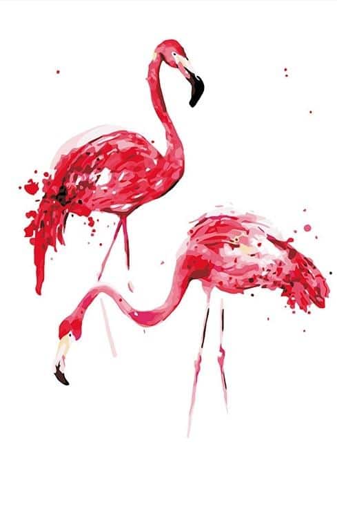 

Coloring Flamingo – Paint By Numbers - 40*50CM, 501 Original