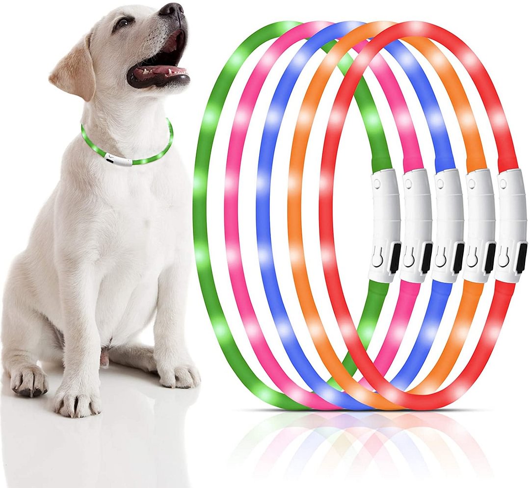 Safety LED Dog Collar (2022)