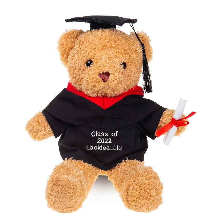 Personalized Graduation Teddy Bear Embroidered Name Graduation Gift