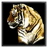 Bead Embroidery - Partial Printed 9CT Tiger(47x45 CM)