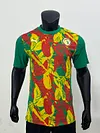 2025/2026 Player Version Senegal Training Uniform Football Jersey 1:1 Thai Quality