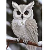 Diamond Painting-DIY Crystal Rhinestone Owl