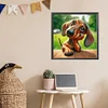(US Only)Paint By Numbers Kit On Canvas DIY Oil Art Dachshund Picture Home Decor40x40cm