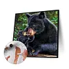 uk.everydayedeals (Limited Stock)Paint By Number - Oil Painting -  Bear (40*40Cm)