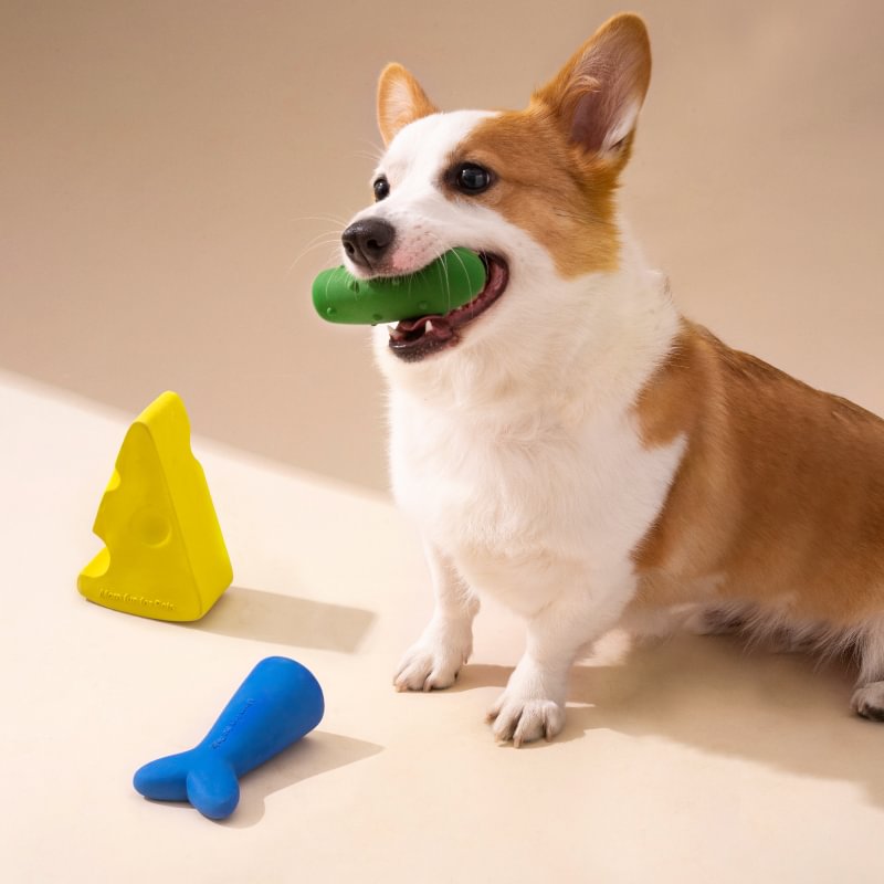 Dog Chew Toys Mewoofun mewoofun