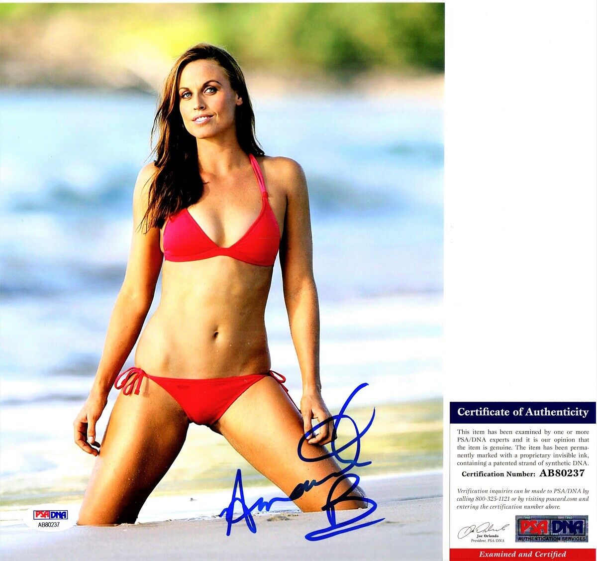 Amanda Beard Signed - Autographed Sexy Swimming 8x10 inch Photo Poster painting - PSA/DNA COA