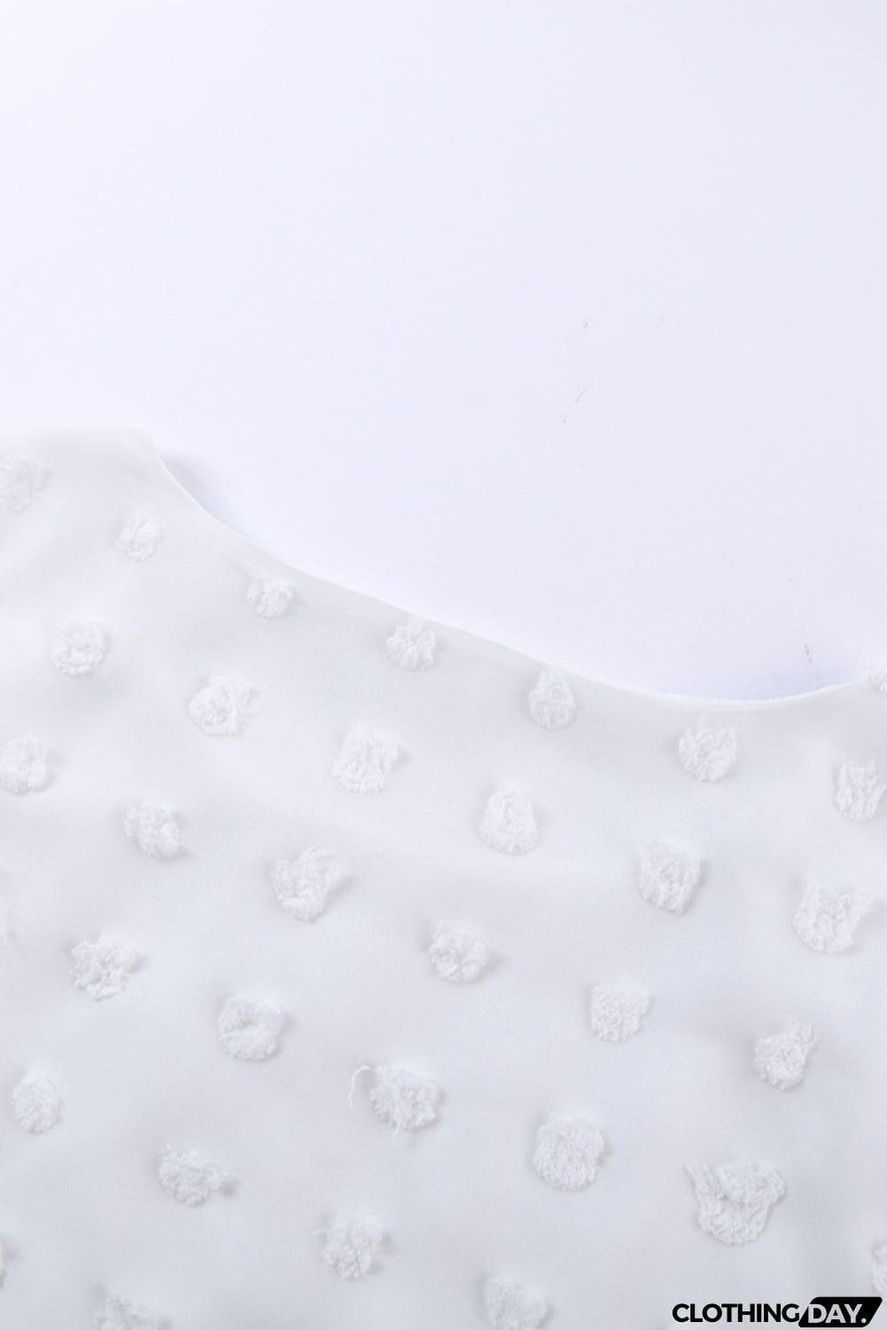 Chic White Swiss Dot Texture Round Neck Short Sleeve Top