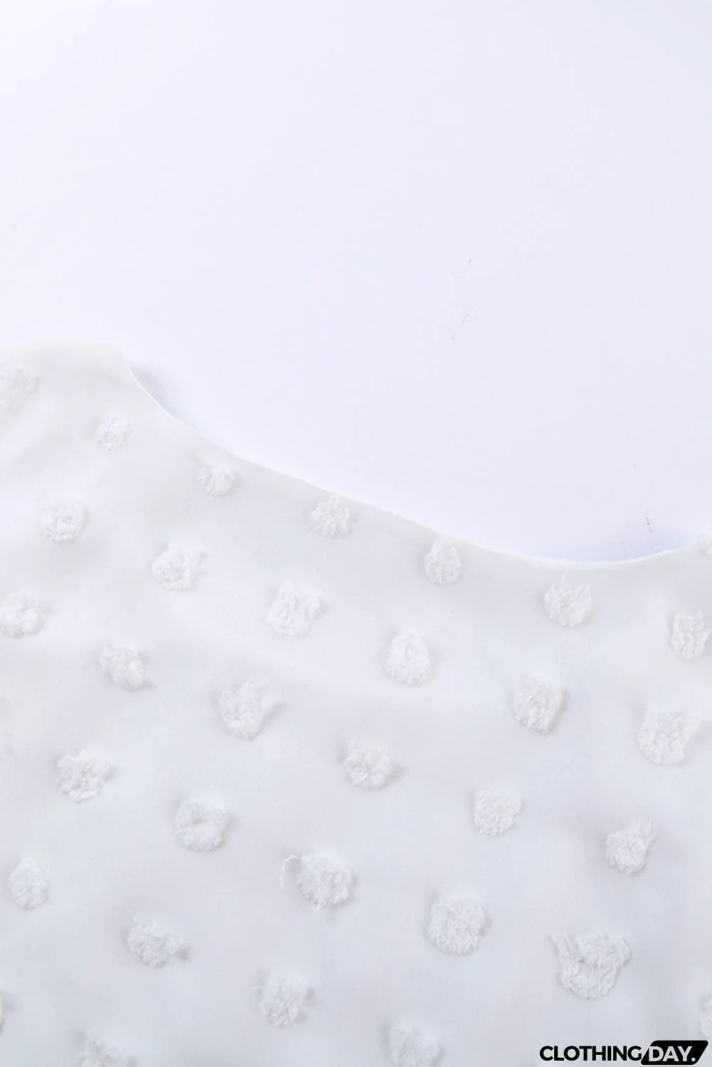 Chic White Swiss Dot Texture Round Neck Short Sleeve Top