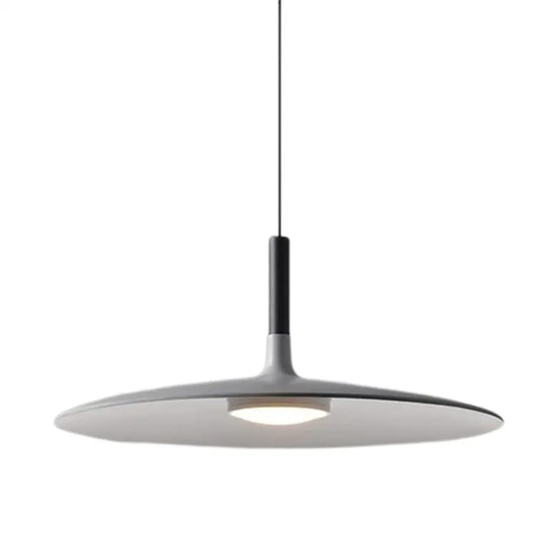 Aplomb Large Disc Industrial Metal LED Pendant Light G31