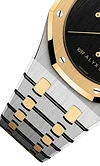 Silver Gold 904L Steel Black Dial - Watches - 41mm