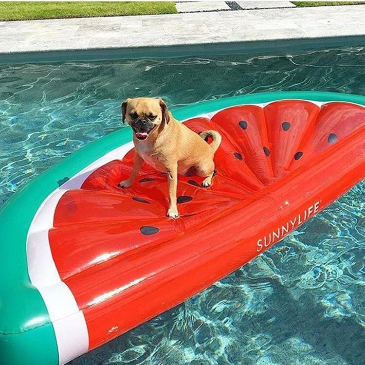 Watermelon | Inflatable Pool Bed - vzzhome