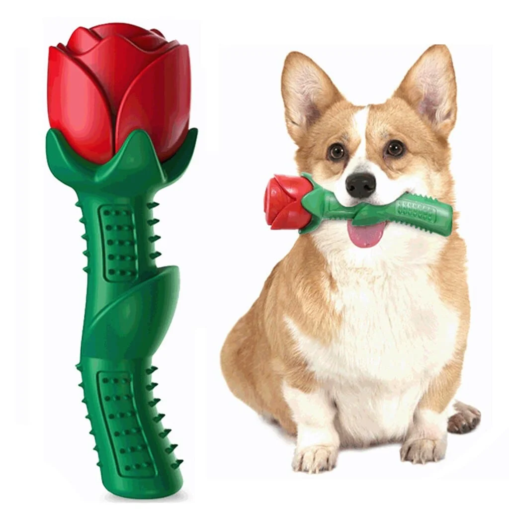 Tango™ - The Rose-shaped Dog Chew Toy