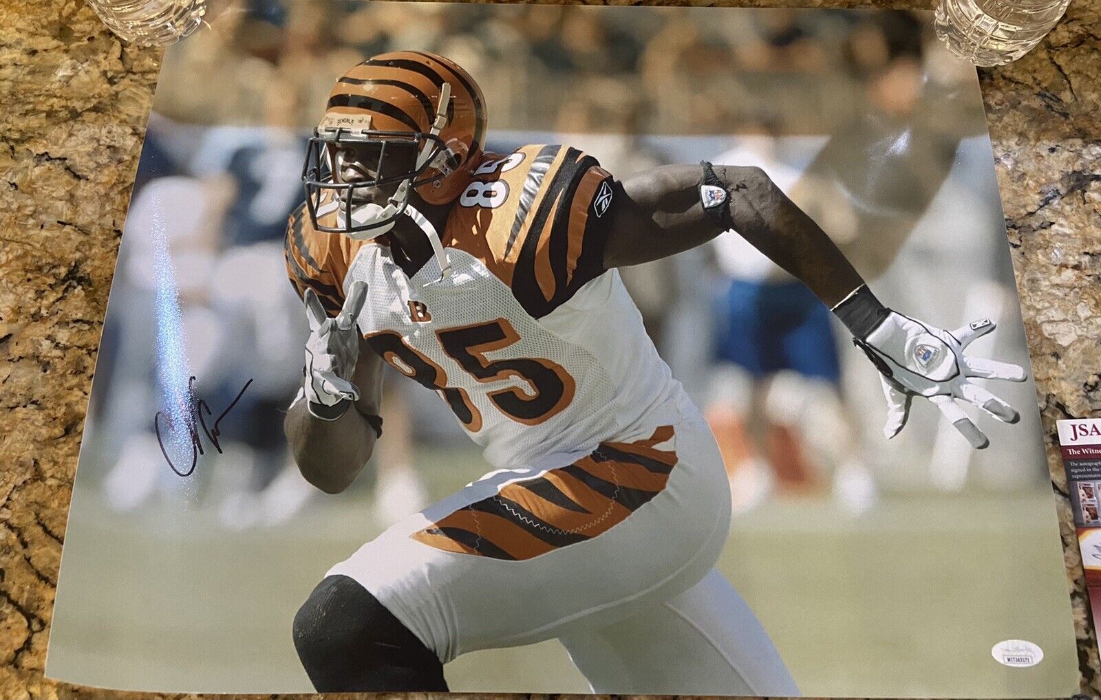 Chad Johnson Cincinnati Bengals Autographed Signed 16X20 Photo Poster painting JSA COA