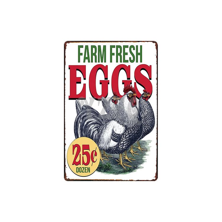 Chicken - Farm Fresh Eggs 25e Vintage Tin Signs/Wooden Signs - 7.9x11.8in & 11.8x15.7in