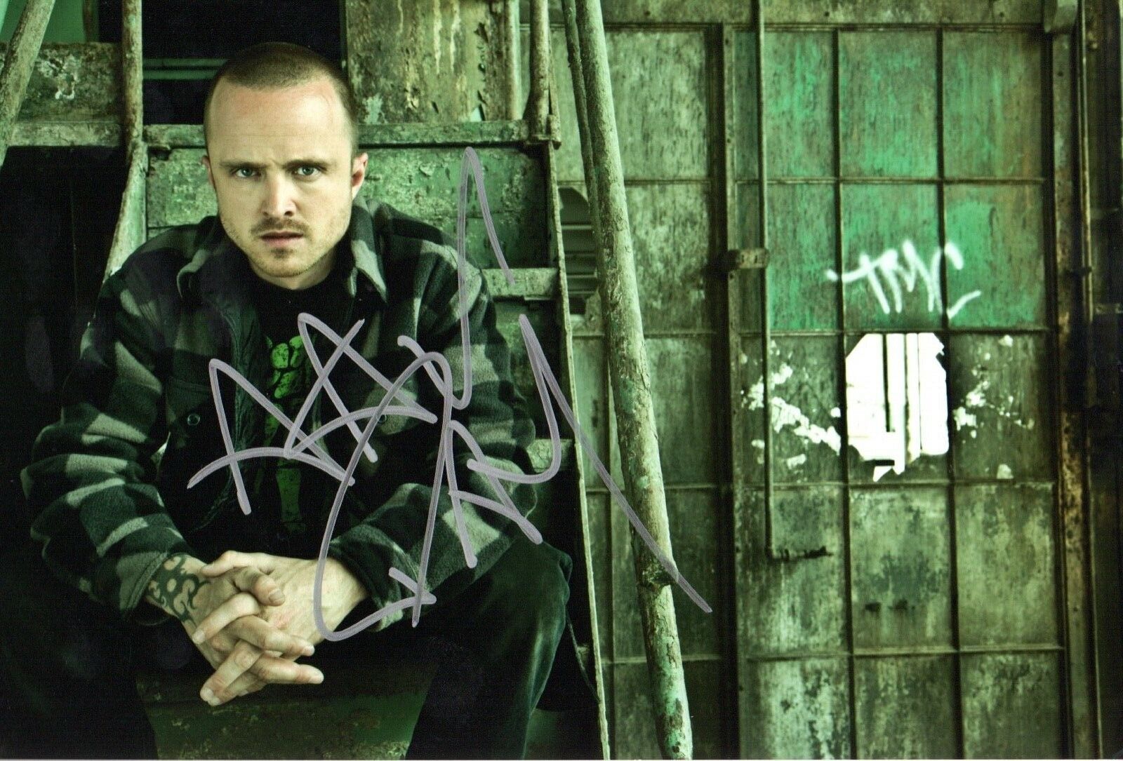 AARON PAUL BREAKING BAD SIGNED COLOUR Photo Poster painting 12 - 8 AUTOGRAPH WITH PIC PROOF