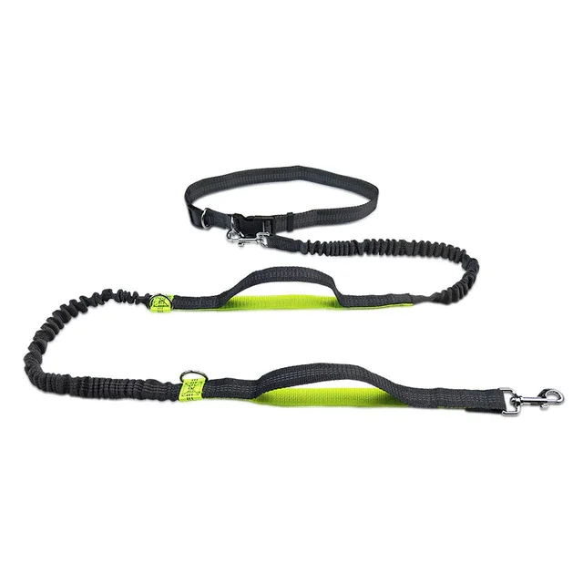 Traction Rope Pet Dog Running Belt Elastic Jogging Metal D-ring Leash-VESSFUL