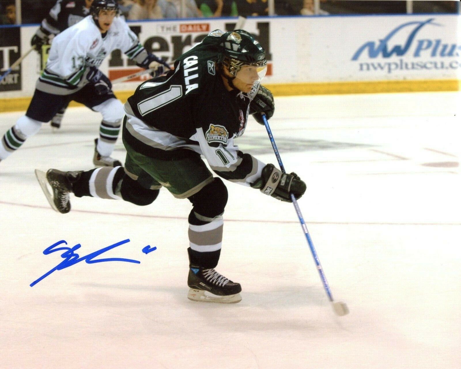 Brady Calla Everett Silvertips Autographed 8x10 Photo Poster painting CFS