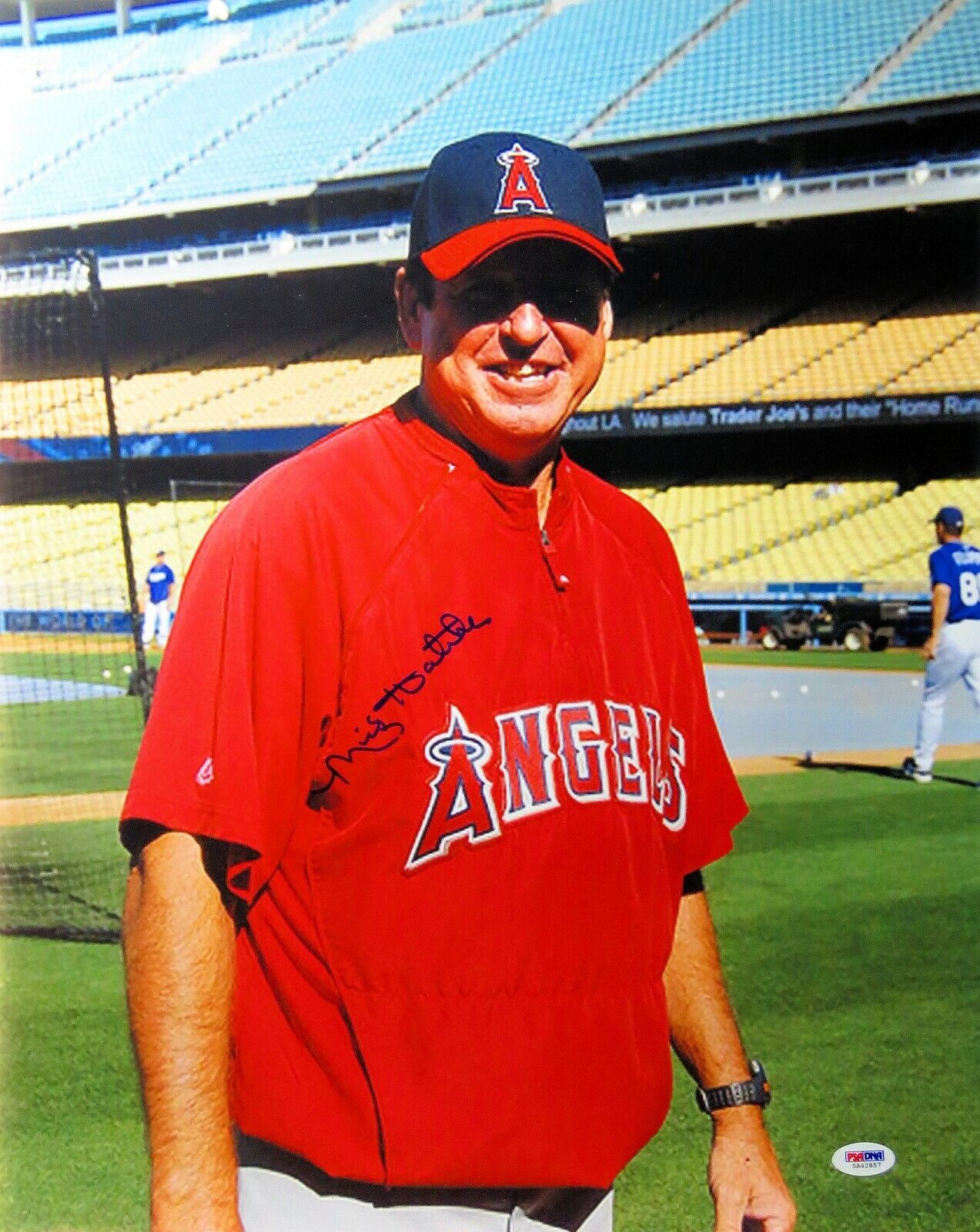 Mickey Hatcher Autographed 16X20 Photo Poster painting Angels Coach Smiling on Field PSA/DNA