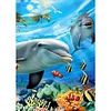 (5 Sizes) Dolphin-Full Square Diamond Painting