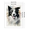 (Stamped/Counted) Border Collie-11CT Cross Stitch 40*60cm(Big Size)