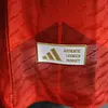 2024/2025 Player Version Spain Special Edition Football Shirt 1:1 Thai Quality