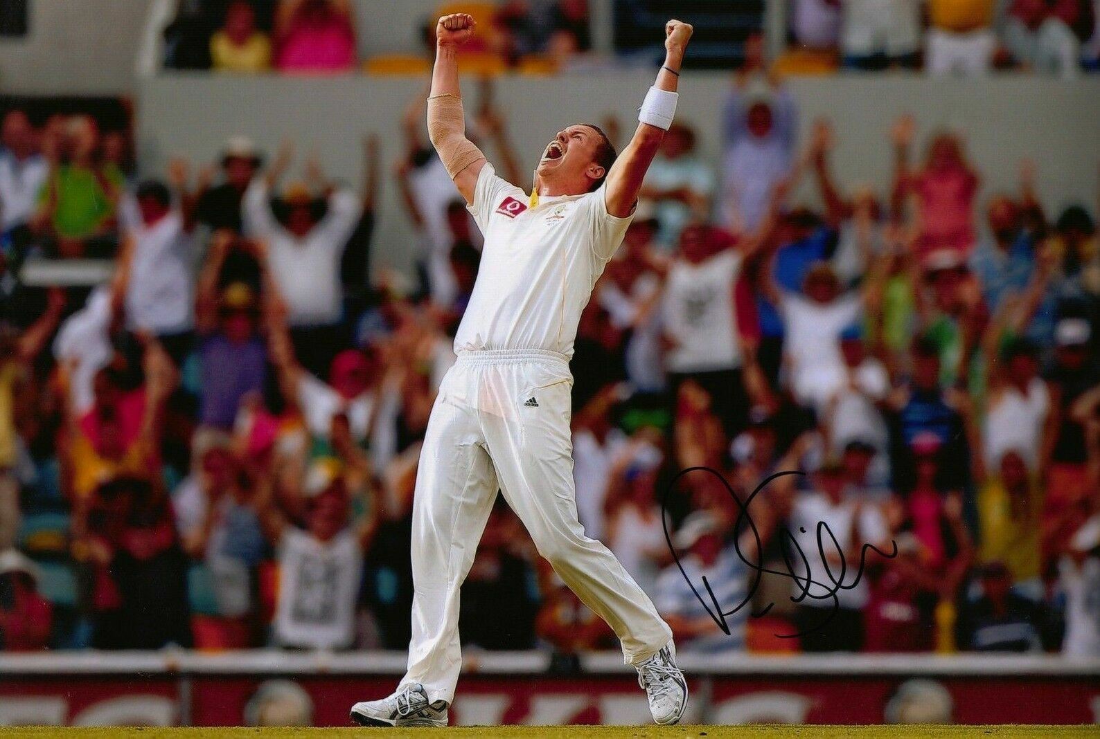 Peter Siddle Signed 12X8 Photo Poster painting Cricket Australia AFTAL COA (2610)