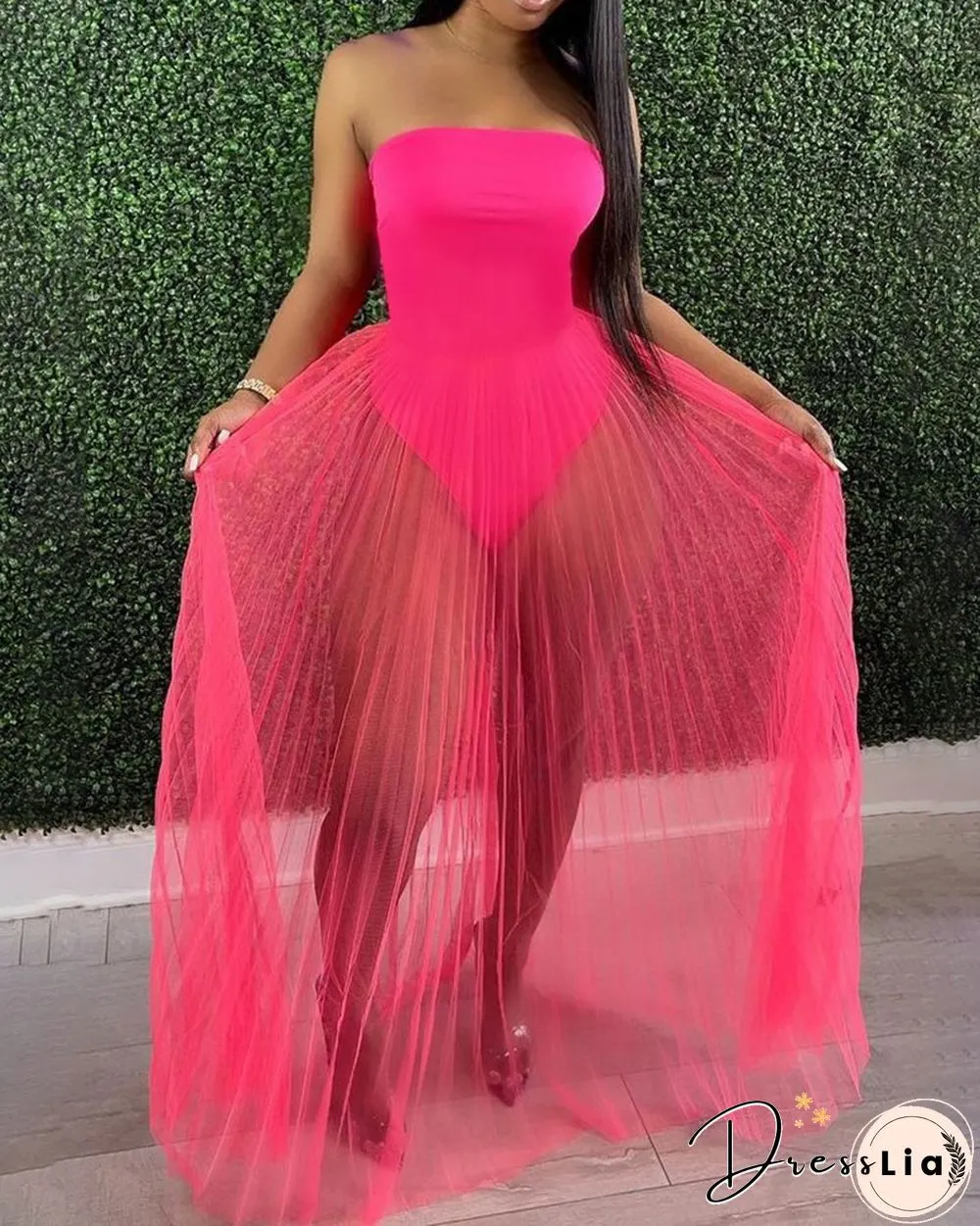 Off Shoulder Sleeveless Plain Sheer Mesh Dress