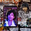 Prince - Vintage Metal Signs(12*16Inch) - Music
