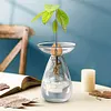 Avocado Seed Starter Vase Transparent Glass Avocado Tree Flower Vase for Balcony