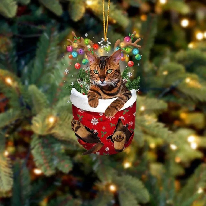 VigorDaily Tiger Cat In Snow Pocket Christmas Ornament SP205